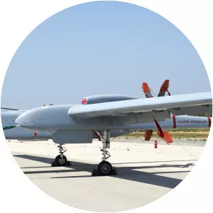 IAI Eitan - Aircraft model