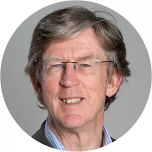 Ian Hargreaves - Professor