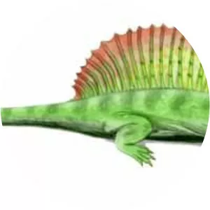 Ianthasaurus - 