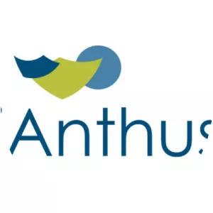 Ianthus Capital Holdings Inc - Company