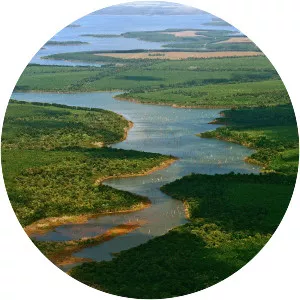 Iberá Wetlands - Wetland in Argentina