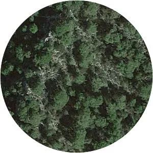 Iberia Airlines Flight 602 - Airline crash