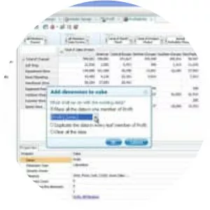 IBM Cognos TM1 - Software