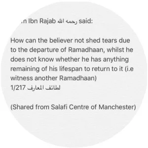 Ibn Rajab - Scholar