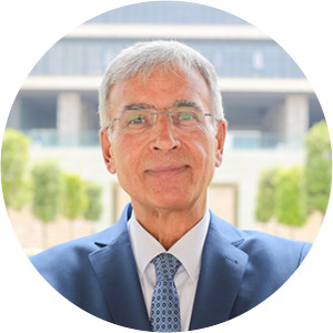 İbrahim Kâfi Dönmez - Theologian