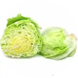 Iceberg lettuce