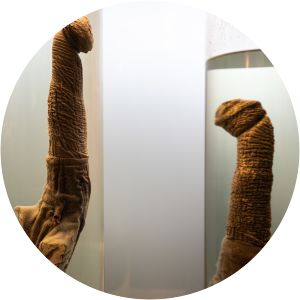 Icelandic Phallological Museum