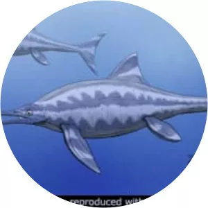 Ichthyosaurus