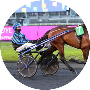 idao de tillard - Horse