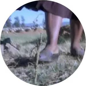 Idlamanzi featuring Umgqumeni