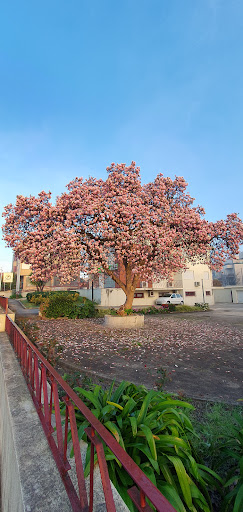 IEFP Valongo - Employment center in Valongo, Portugal