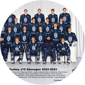 IF Sundsvall Hockey