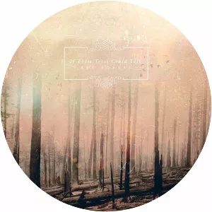 If These Trees Could Talk