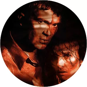 If They Tell You I Fell