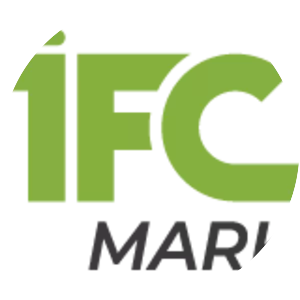 IFC Markets - Company