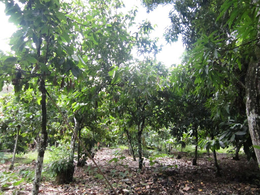 Iglesia colonial Pachaconas - Church in the Pachaconas District, Peru