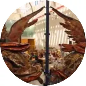 Iglesia del Salvador