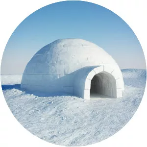 Igloo