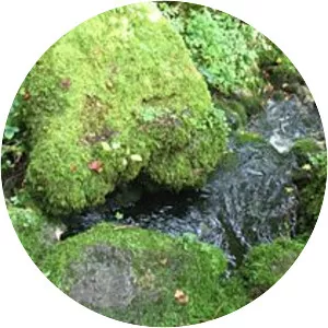 Ignon - River in France