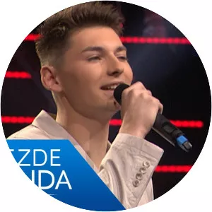 Igor Gmitrović - Musical artist