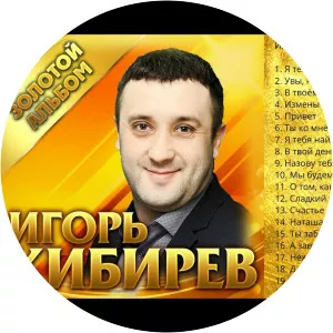 Igor Kibirev Musician