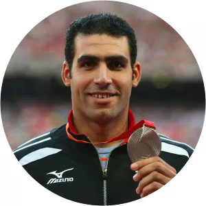 Ihab Abdelrahman El Sayed