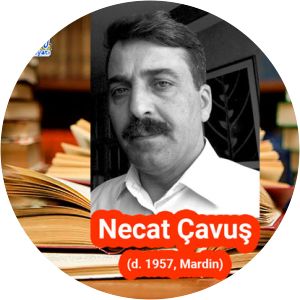 ihsan deniz necat cavus - Writer