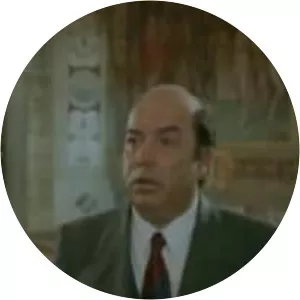 Il commissario Lo Gatto