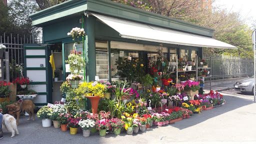 Il Piccolo Giardino Di Tortorici Marco