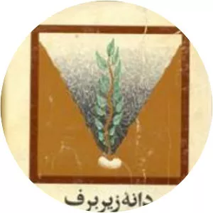 Il seme sotto la neve, romanzo