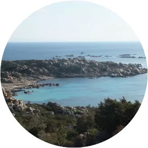 Île Bruzzi - Island in Pianottoli-Caldarello, France