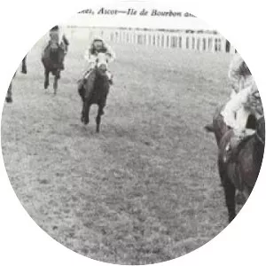 Ile de Bourbon - Horse