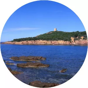 Île de Pinarellu - Island in Zonza, France