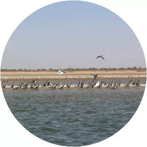 Île des Oiseaux - Island in Senegal