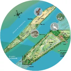 île Nouvelle (Île Nouvelle)