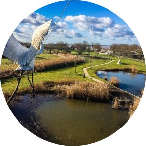 île paté terres d'oiseaux