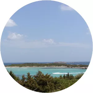 île Piana (Lavezzi)