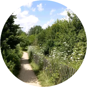 Île Saint-Germain - Island in the Seine