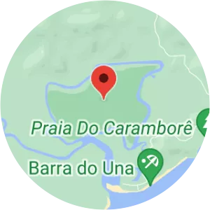 Ilha do Ameixal Area of Relevant Ecological Interest - 