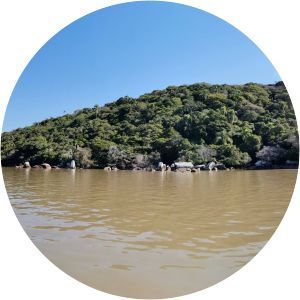 Ilha do Barba Negra - Isle in Brazil