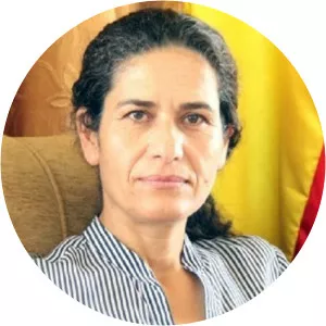 Îlham Ehmed - Politician