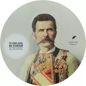 Ilija Plamenac - Former Minister of Defence of Montenegro