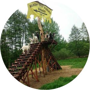 ilińsk bajkowy świat kłobuka