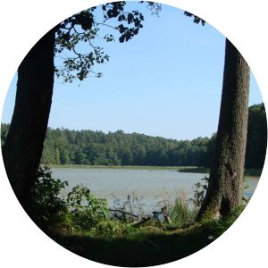 ilińsk jezioro januszewskie