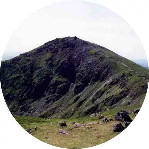 Ill Bell - Musical artist