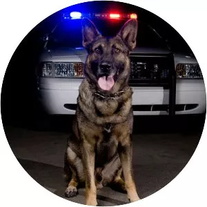 Illinois v. Caballes