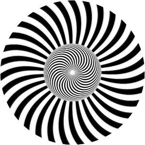 adrian kulik illusion