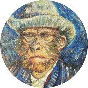 illya chichkan tsaholov vasily