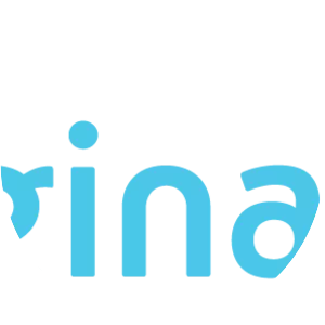 Imagination Foundation - Non-profit organization