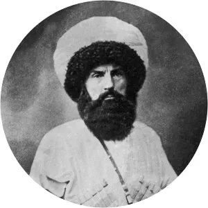 Imam Shamil - Political leader
